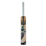 Cricket Bat